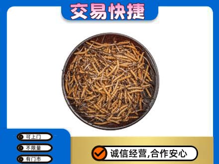 湛江遂溪县礼品回收虫草.jpg
