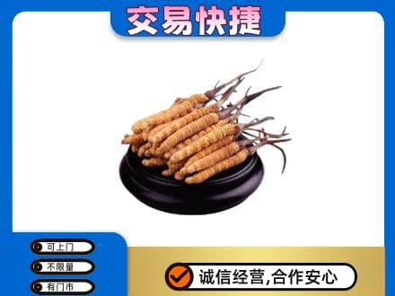 湛江遂溪县高价回收冬虫夏草多少钱每克